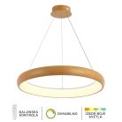 forma-rasveta-led-viseca-lampa-f2081-86v-1.jpg