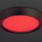 2987-4.jpg