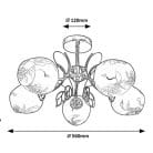 5099-100.jpg