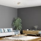 6590-e.jpg