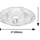 71068-100.jpg