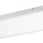 71077-2.jpg