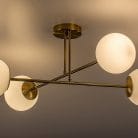 71081-3.jpg