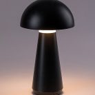 76007-3.jpg