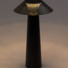 77062-2.jpg