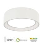 forma-rasveta-led-plafonska-lampa-F2096-51C-WH-WH-1.jpg